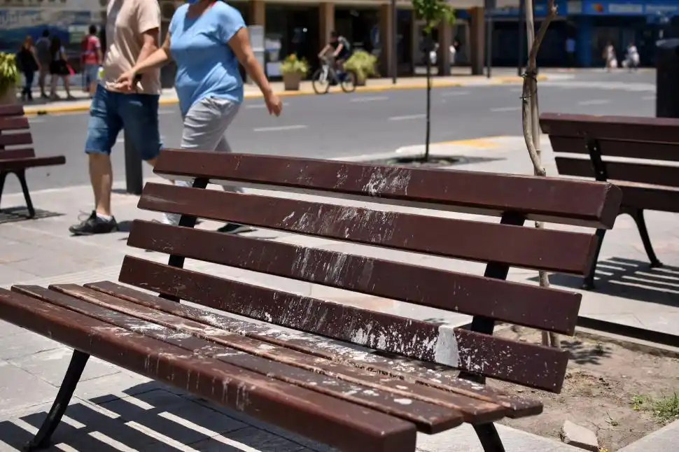 FALTA DE ASEO. Uno de los bancos luce infamado por los detritos de las palomas.