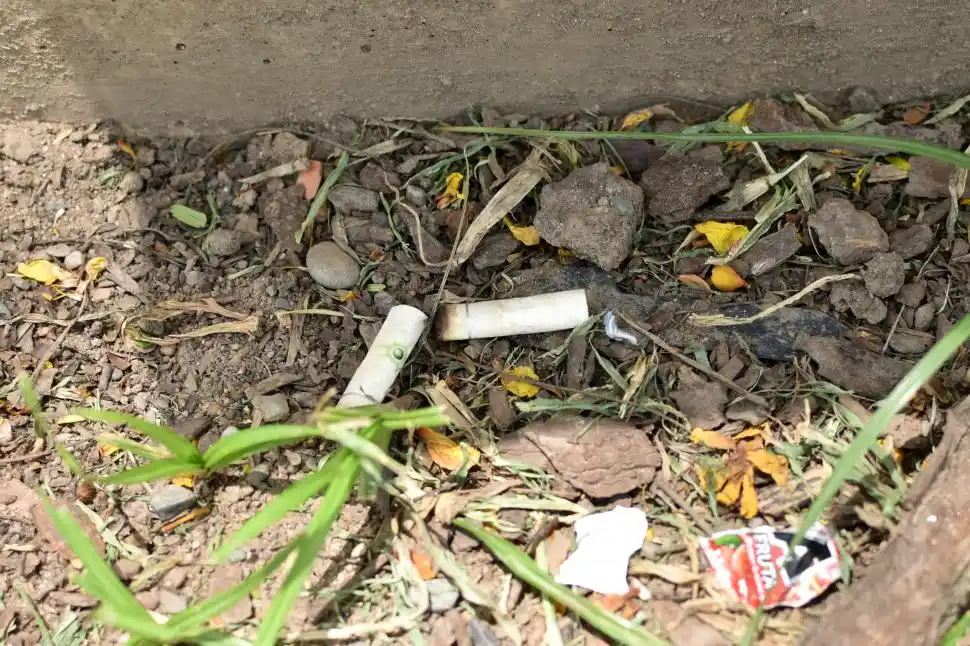 DESAPRENSIÓN. La “propiedad pública” es considerada igual a “tierra de nadie” por algunos transeúntes.