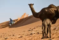 Un resurgir en Motos con sello argentino en el Dakar