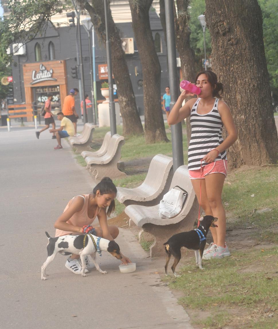 MOMENTO PARA SACIAR LA SED I. Dos chicas y sus respectivos canes recuperan energía y se hidratan en la Plaza San Martín.