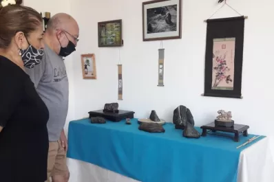 Suiseki, contemplar la naturaleza en pequeña escala