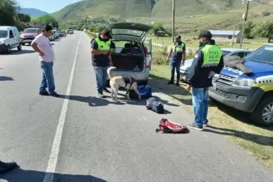 Secuestraron 20 cogollos de marihuana en la ruta camino a los Valles
