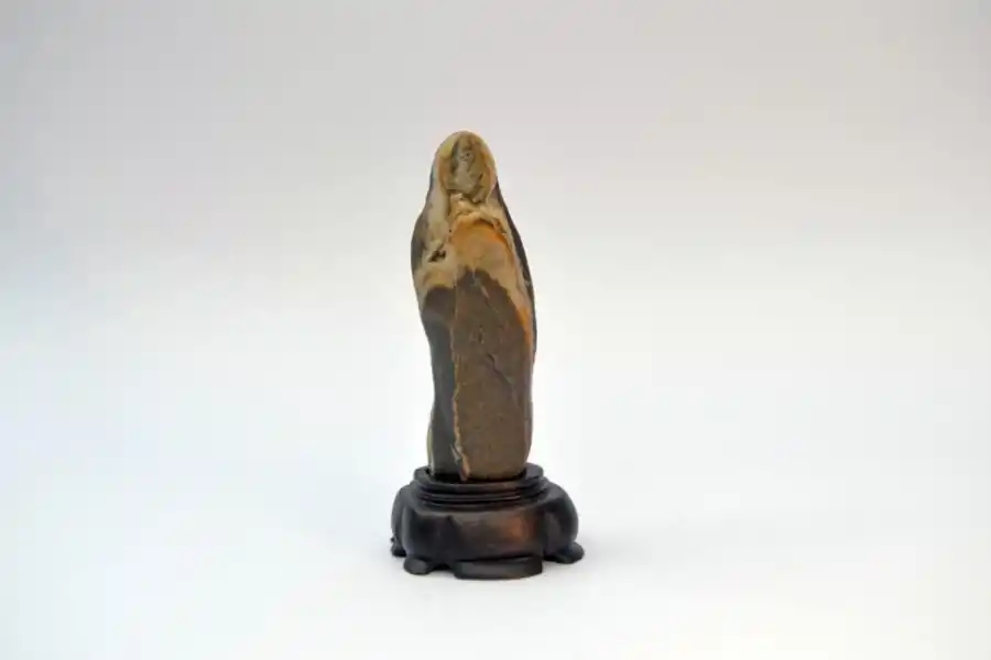 bbbjljnjkncsjklvnjk<nsljkvnjksdnvjknsdjkvn<sudhvjn<kjsnvjkn<JKSNJKN