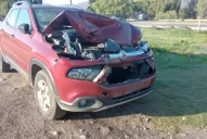 Animales sueltos en la ruta 307 casi provocan una catástrofe en Tafí del Valle