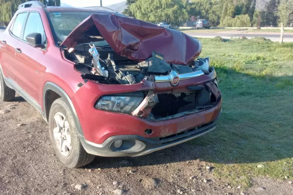 Animales sueltos en la ruta 307 casi provocan una catástrofe en Tafí del Valle