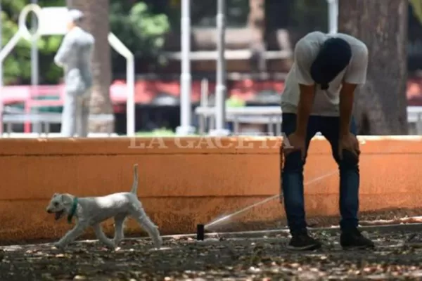 Son más de 40 las ciudades argentinas con temperaturas superiores a los 40°