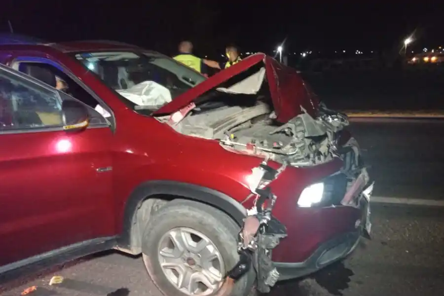 Animales sueltos en la ruta 307 casi provocan una catástrofe en Tafí del Valle