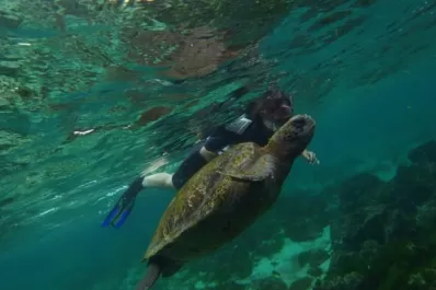Expanden el área protegida alrededor de las Islas Galápagos por las especies migratorias