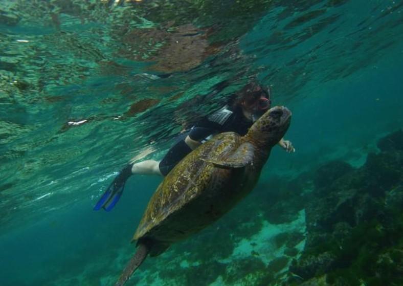 Expanden el área protegida alrededor de las Islas Galápagos por las especies migratorias