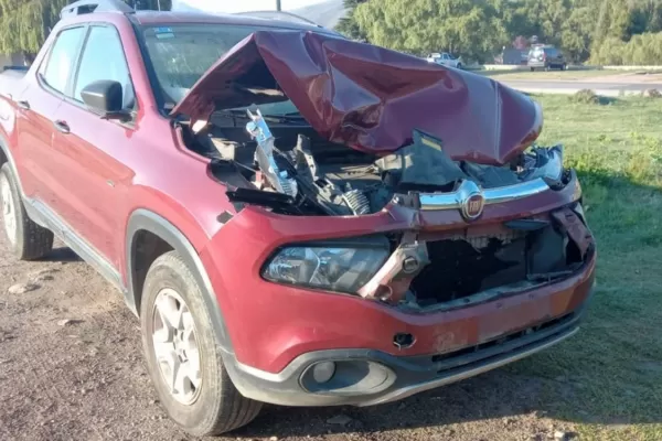 Triplican controles para evitar choques contra animales