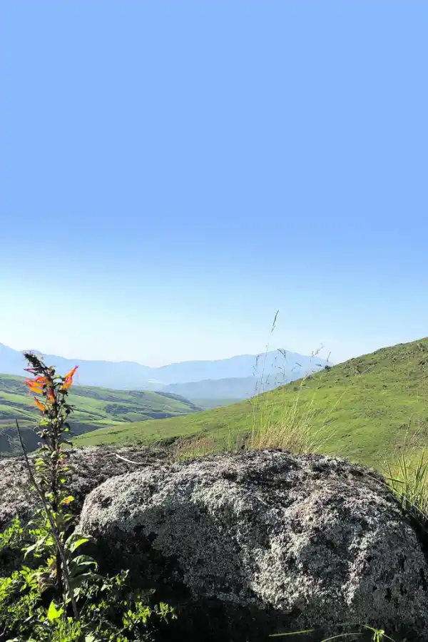Un viaje por el viejo camino del Tafí 
