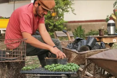 Tips para poder emprender nuestra propia huerta en casa