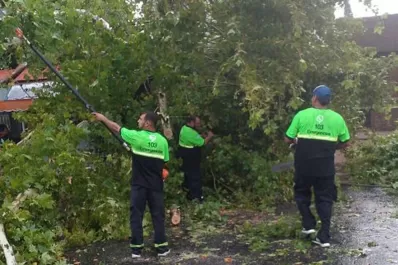 Rosario: un fuerte temporal provocó la caída de árboles y daños en un hospital