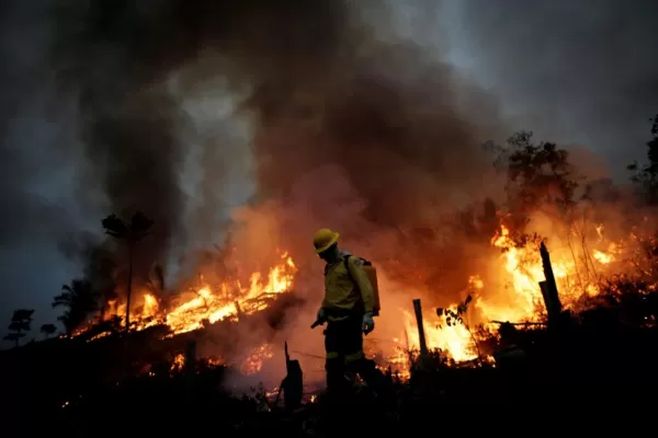 La Amazonía se sigue destruyendo y se acerca a un punto irreversible