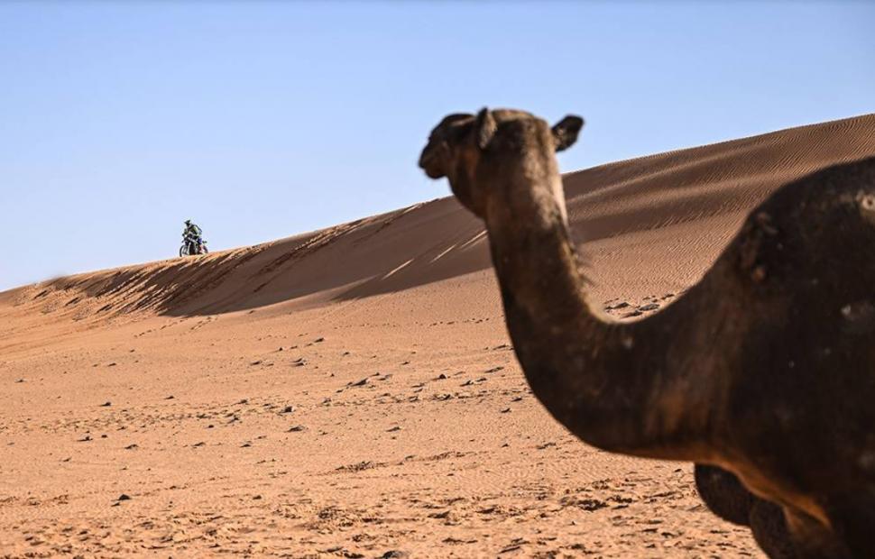 CONTACTO EN EL DESIERTO. En la etapa 7, los competidores se toparon con manadas de camellos.