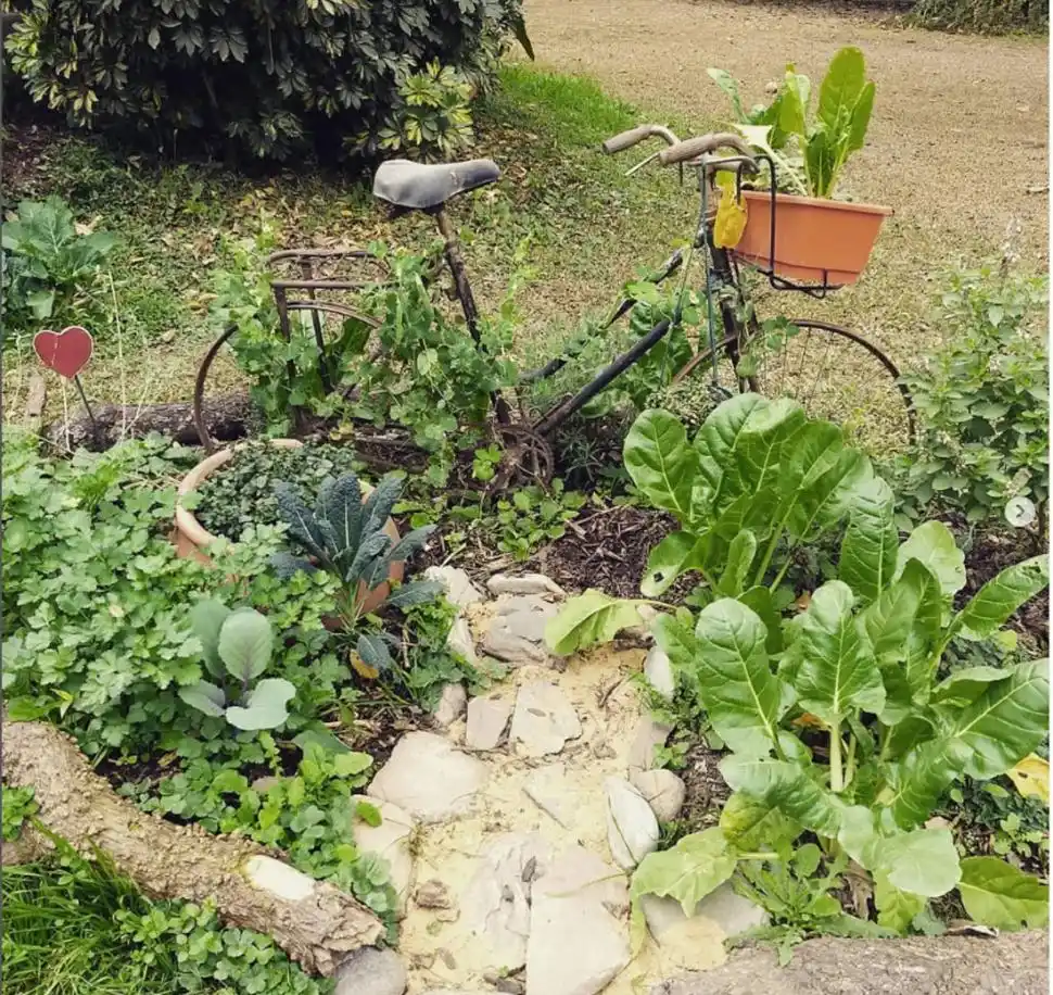 SABOR ÚNICO. Las verduras de la huerta son más ricas que las del súper.