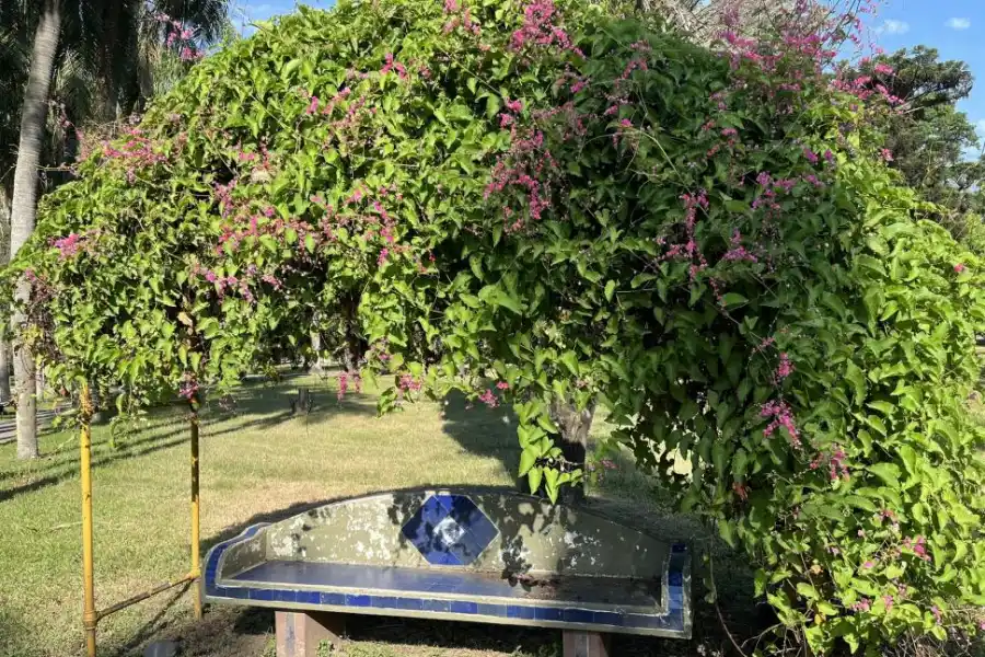 “BANCOS DE ARTE MUNICIPAL”. Este curioso asiento tiene su propia sombra floral.