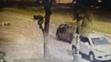 Video: Atropelló a una mujer en la avenida Aconquija y se dio a la fuga 