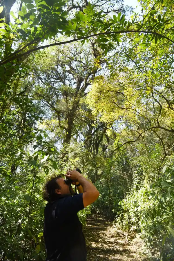 Temporada de verano: Todo lo que podés hacer en Tucumán 