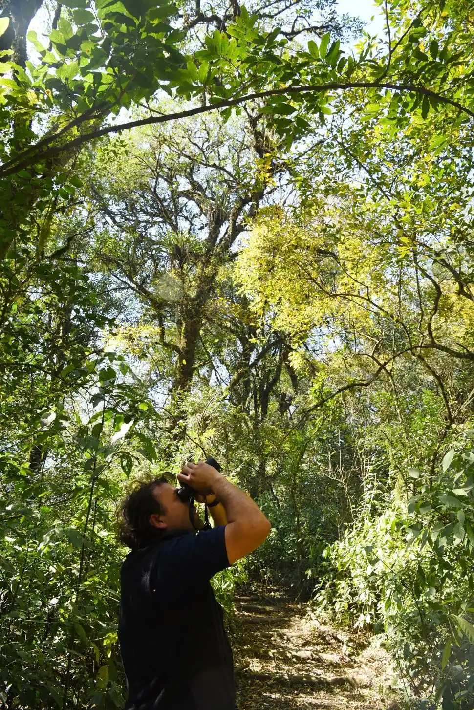 Temporada de verano: Todo lo que podés hacer en Tucumán 