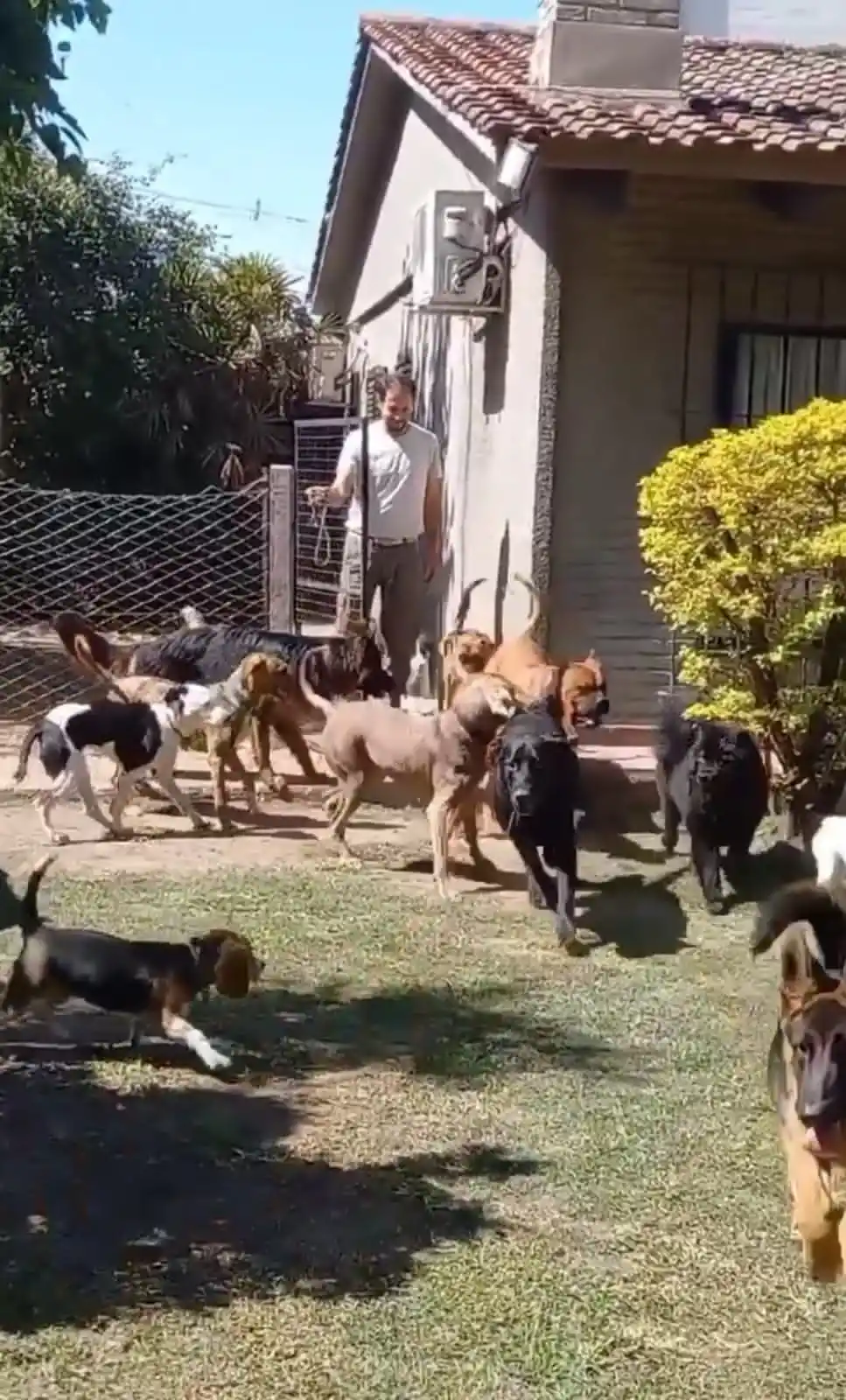 LA MANADA. Un grupo de “alumnos” recibe a Charly en la puerta. 