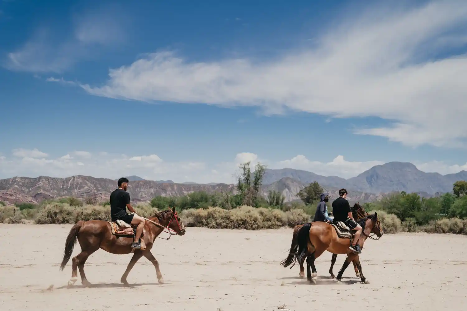 CABALGATAS EN SAN JUAN. Muchas opciones se relacionan con esta actividad. 