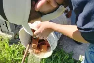 No hay casos de dengue, pero en Salud piden no bajar la guardia