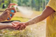 Recomendaciones para atravesar el verano sin dengue