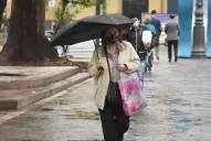 Ola de calor y tormentas: una mala combinación