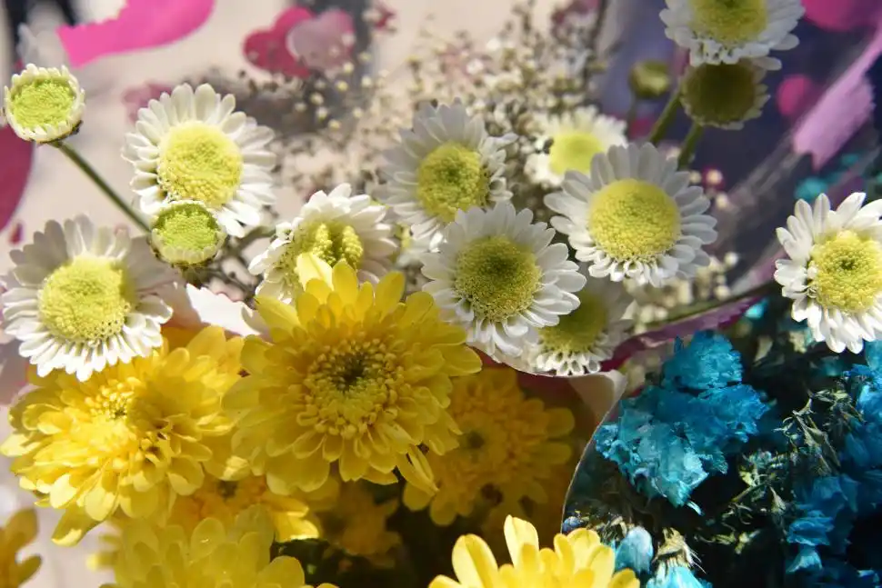 VERANO.Las flores naturales duran entre dos y tres días. 