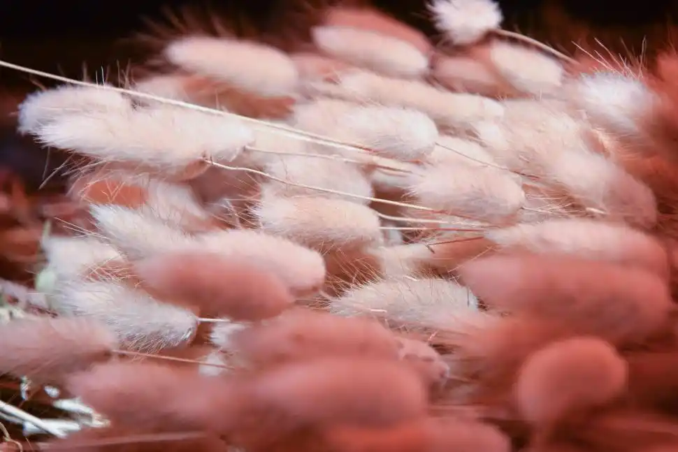 PRECIOS. Los ramos de flores oscilan entre los $ 200 y $ 300.