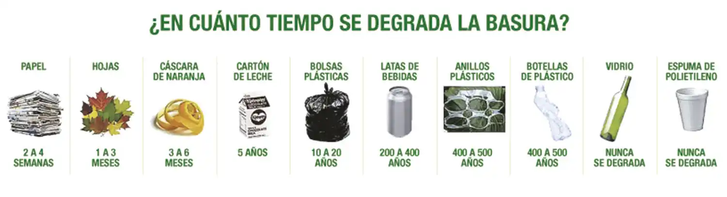 ¡A separar la basura!