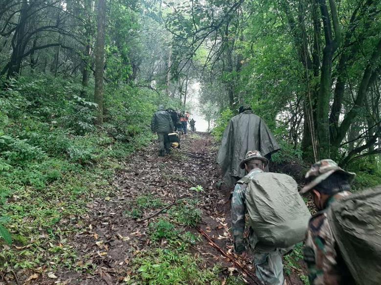 Tafí Viejo: Hallaron una plantación de marihuana entre la maleza