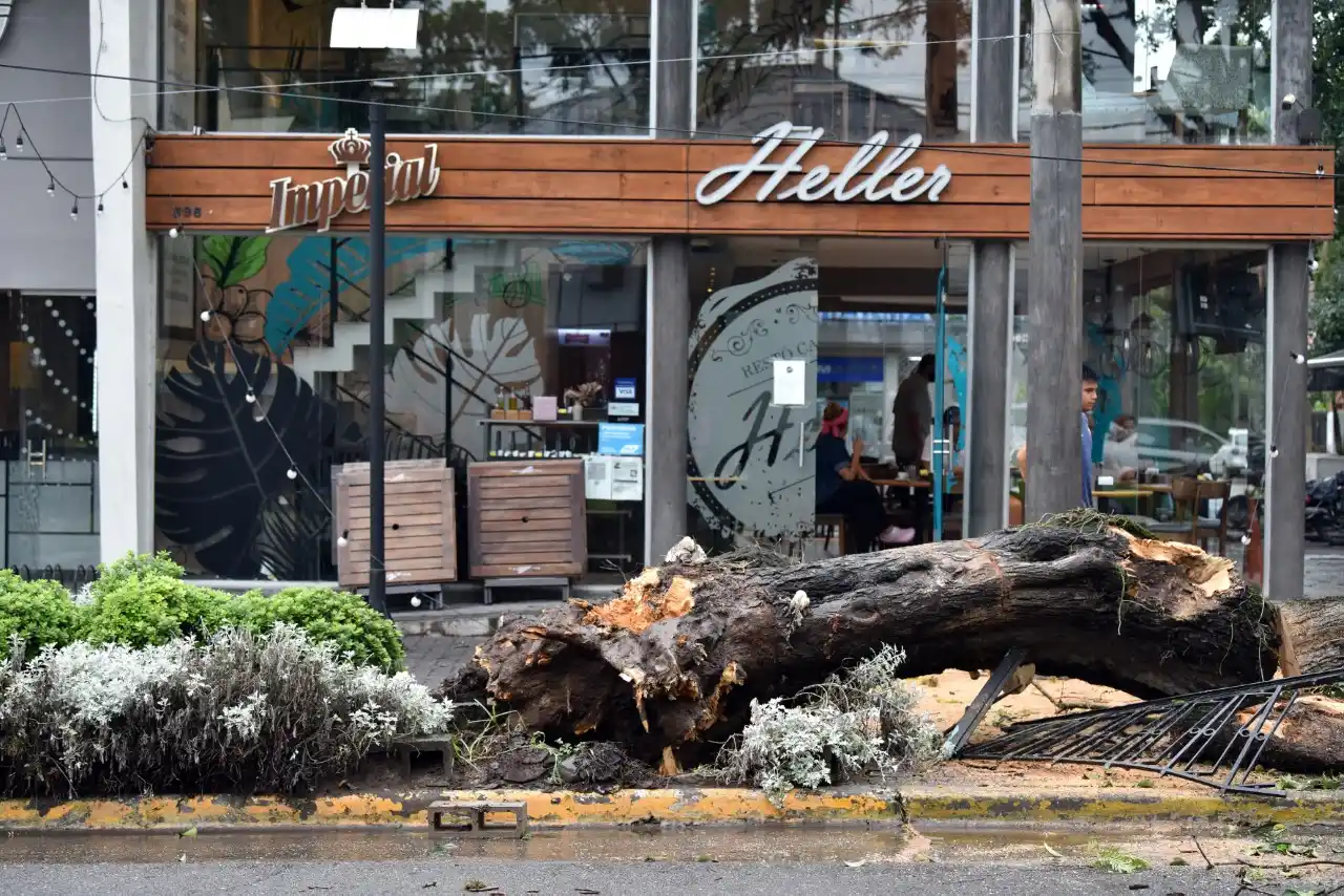 Foto Inés Quinteros Orio / La Gaceta
