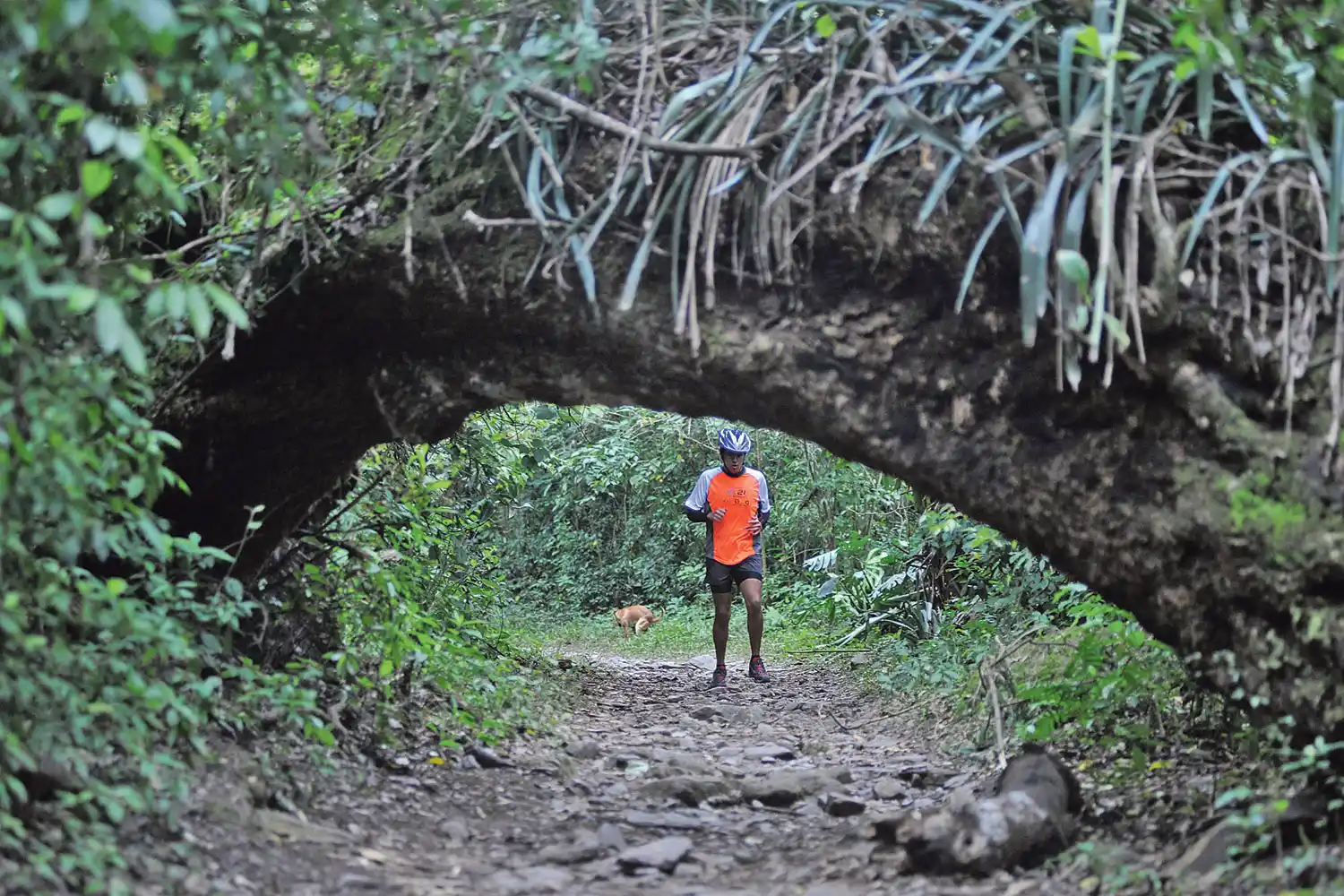 Conocé cuatro circuitos para salir a caminar con los chicos