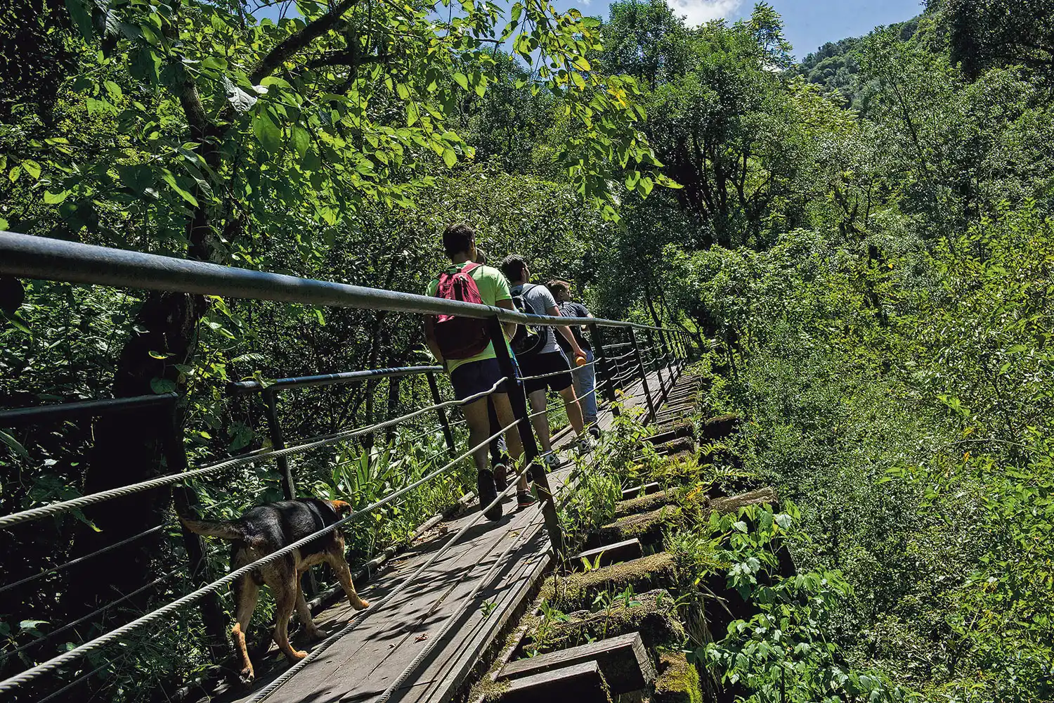Conocé cuatro circuitos para salir a caminar con los chicos