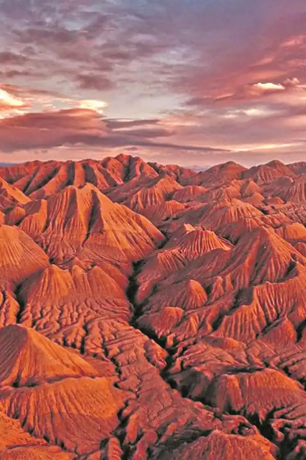 Un viaje al origen de la vida