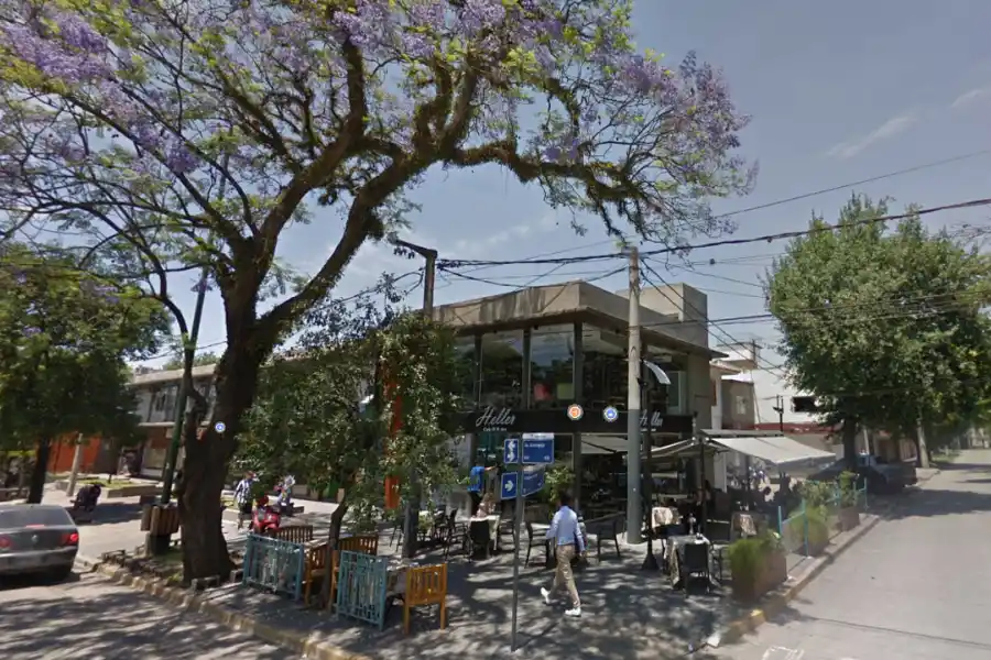 Así era el árbol que cayó en Heller y Aconquija 