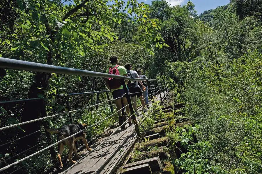 Conocé cuatro circuitos para salir a caminar con los chicos