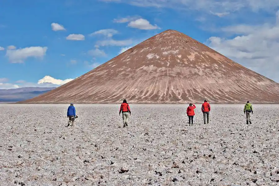 Un viaje al origen de la vida