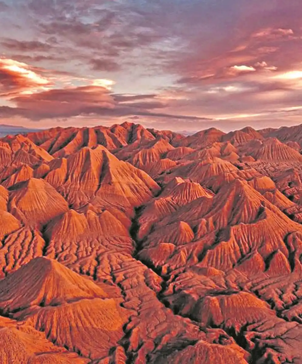 Un viaje al origen de la vida