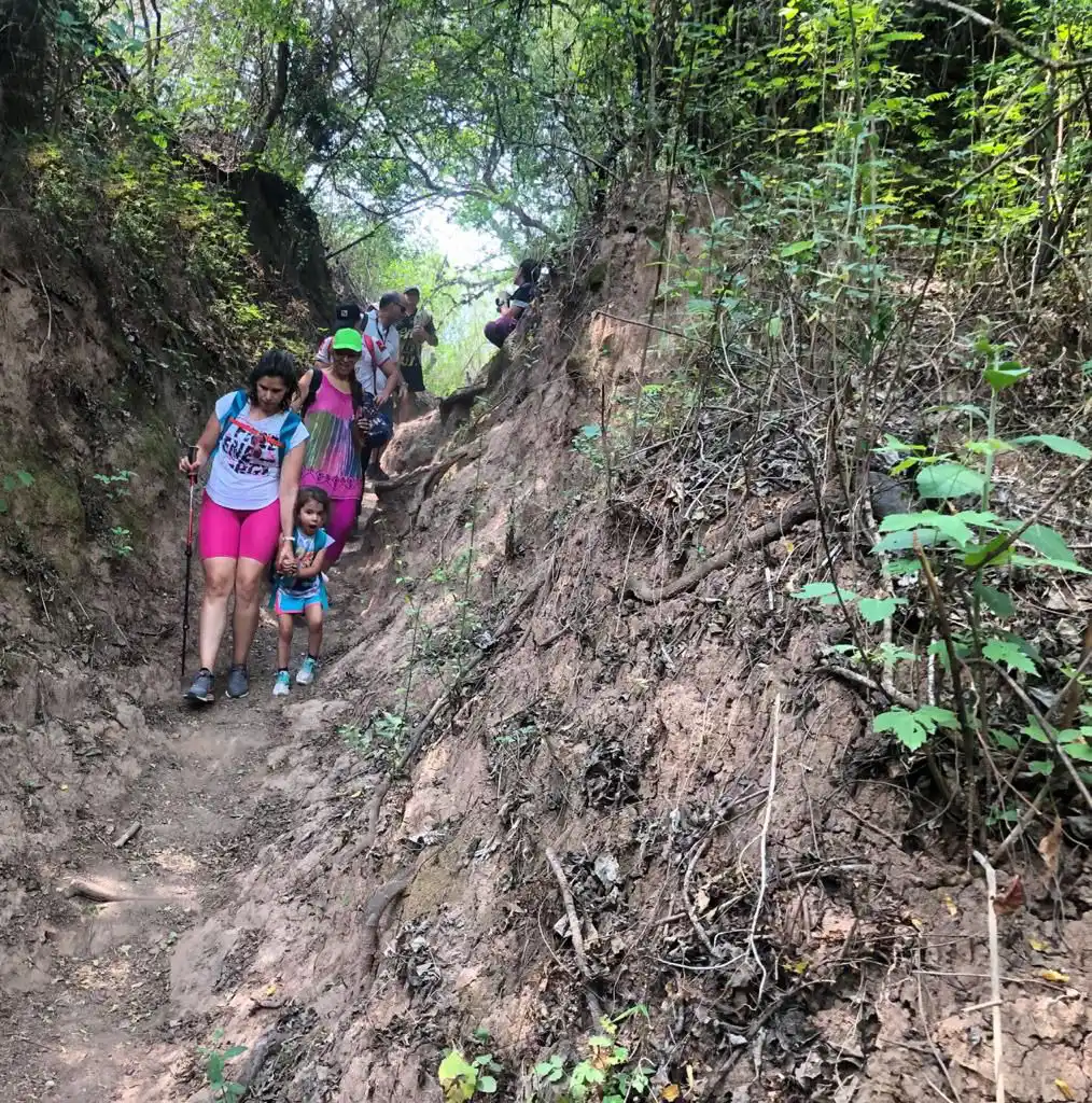 PRECAUCIONES. Si vas con niños, lo ideal es elegir los lugares con senderos marcados.  
