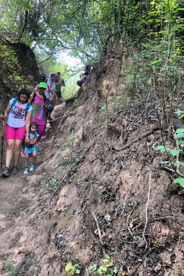 PRECAUCIONES. Si vas con niños, lo ideal es elegir los lugares con senderos marcados.  