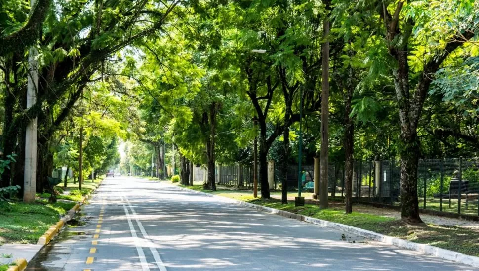 AVANCES. Las ciclovías ya están delimitadas con pintura amarilla.