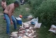 La histórica veda no detuvo a los furtivos