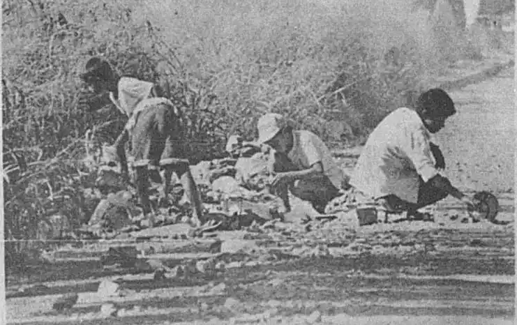 A 30 años de la amenaza del cólera: el mal de la miseria