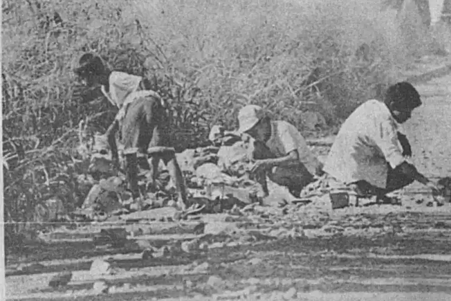 A 30 años de la amenaza del cólera: el mal de la miseria