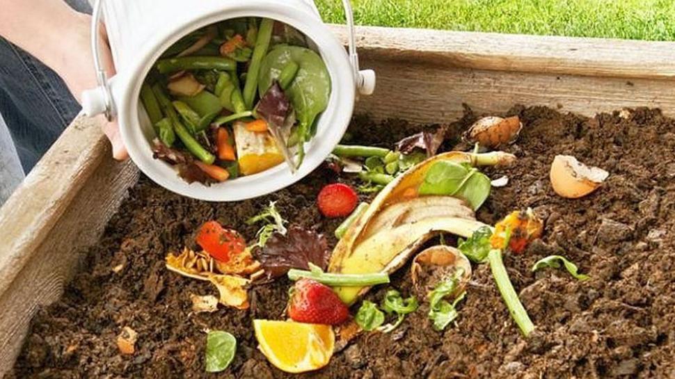 TIERRA FÉRTIL. La compostera es la solución para los residuos orgánicos. 