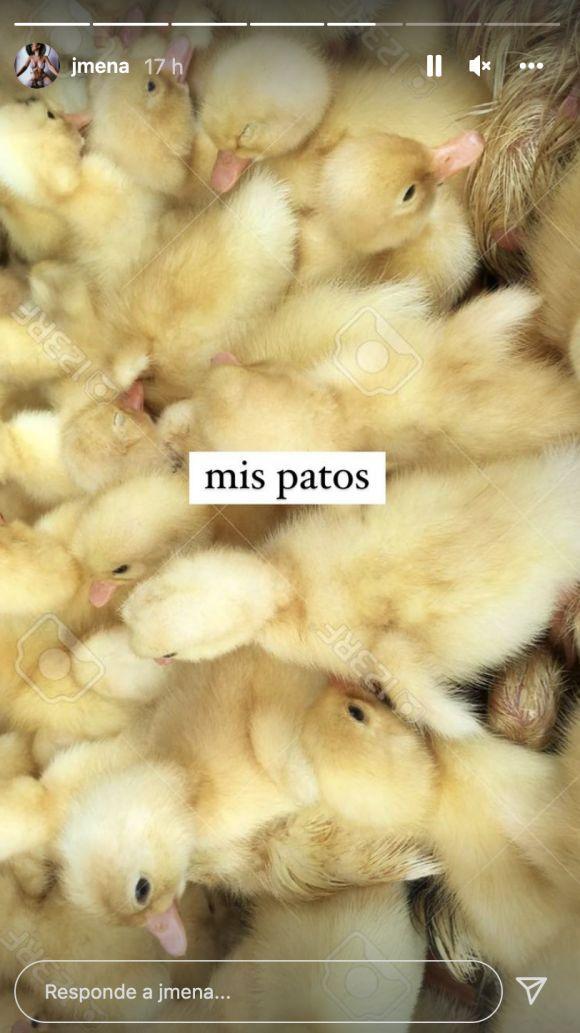 Jimena Barón dijo que volverá a terapia: “Espero tener los patos en fila”