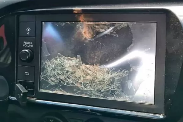 La detención de un joven que huyó en un carro a caballo terminó con un móvil policial destrozado